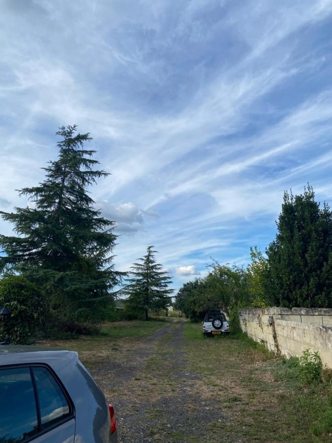 Gites De La Levee Chouze-sur-Loire Экстерьер фото